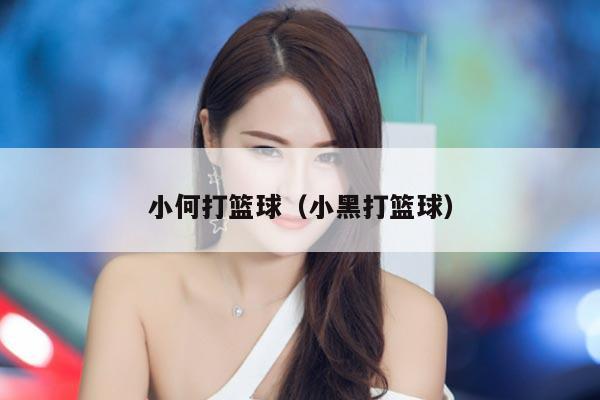 小何打篮球（小黑打篮球）