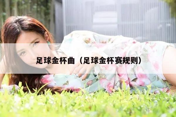 足球金杯曲（足球金杯赛规则）