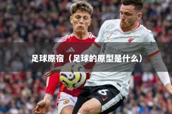 足球原宿（足球的原型是什么）